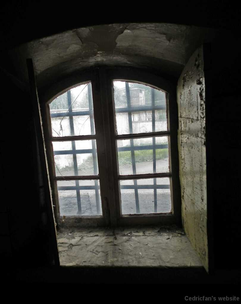DSCF2140