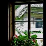 DSCF2359
