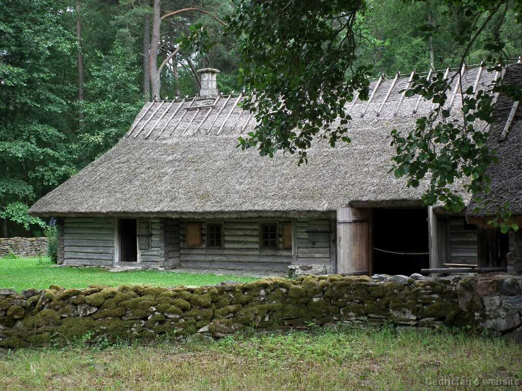 DSCF2323