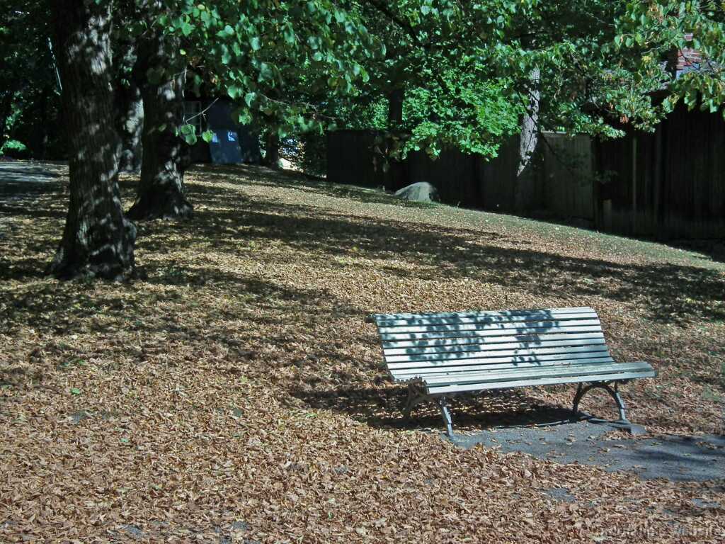 DSCF2458