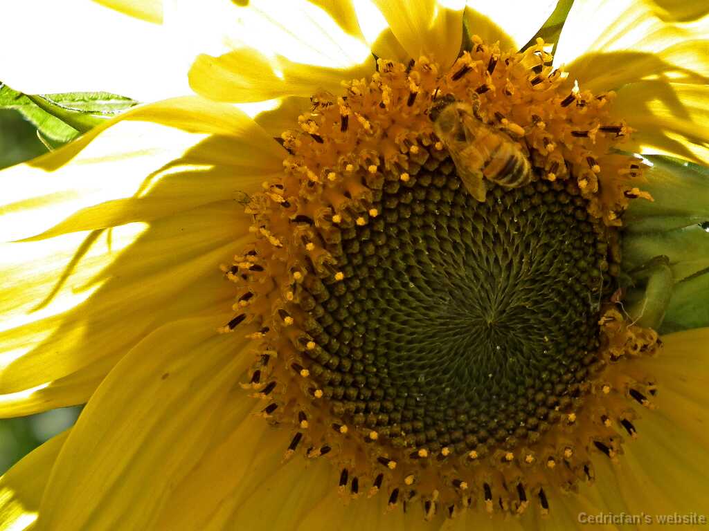 DSCF2958