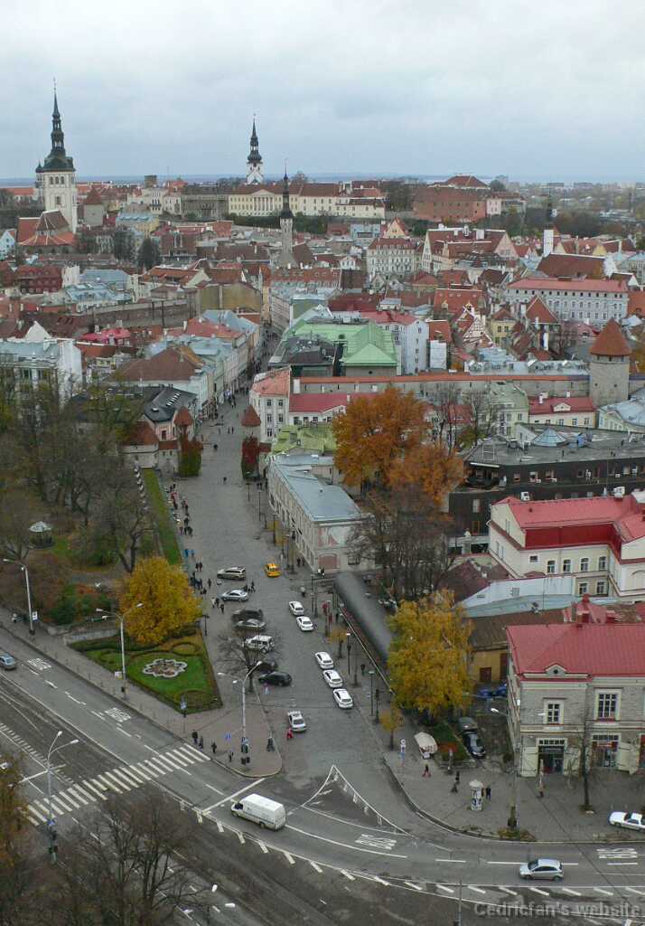 P1010664