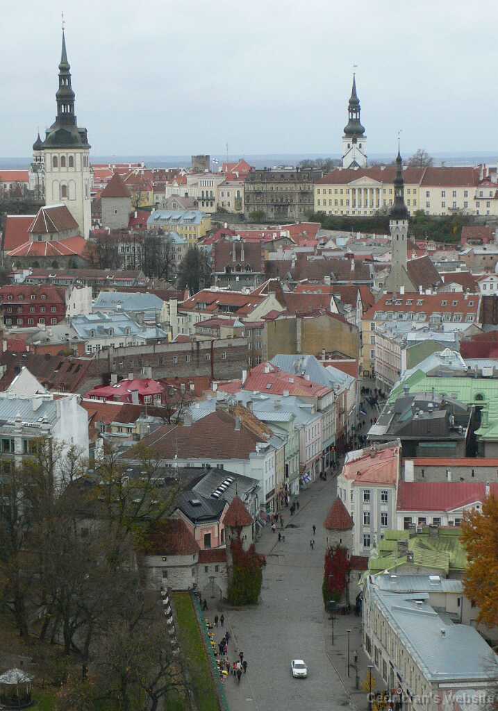 P1010667