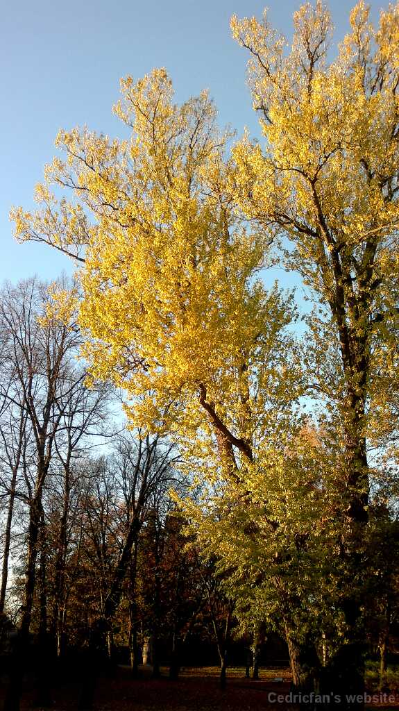 2013-10-20-379