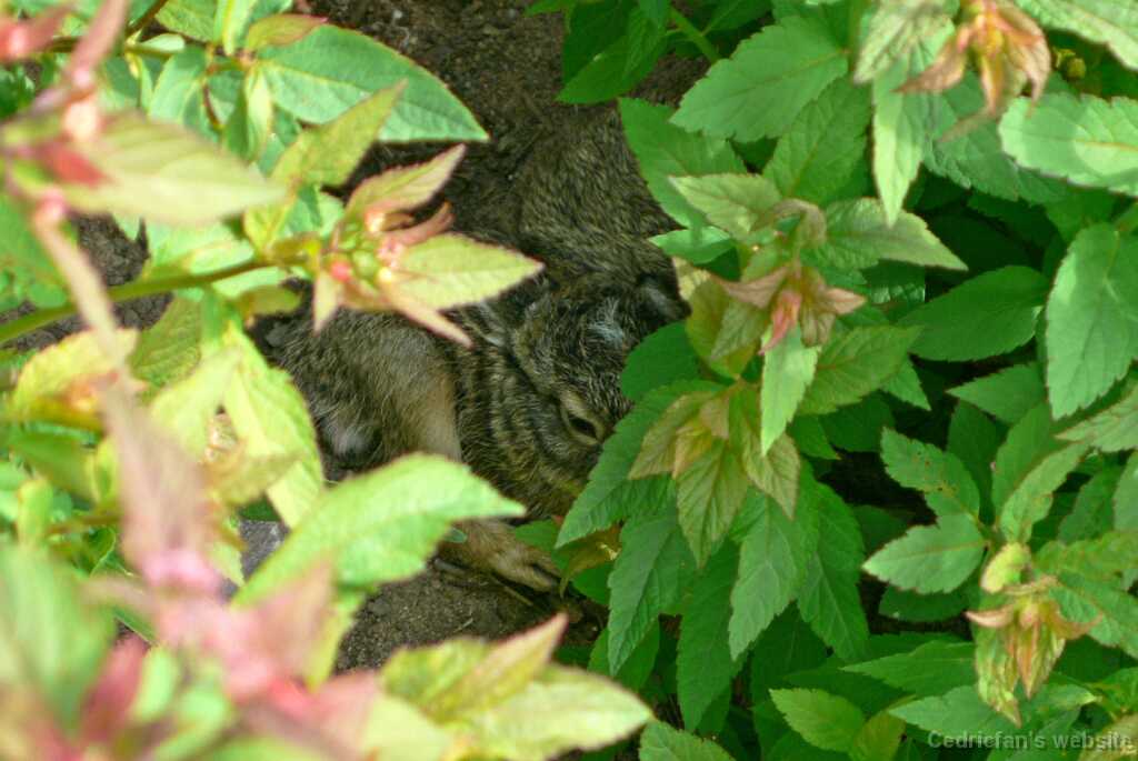 P1010508