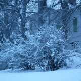 13 01 Winter scenes Ruissalo