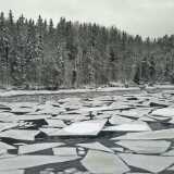 13 02 Winter scenes Ruissalo