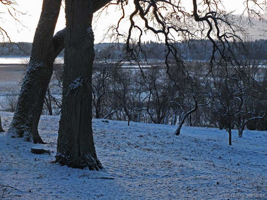 DSCF7315