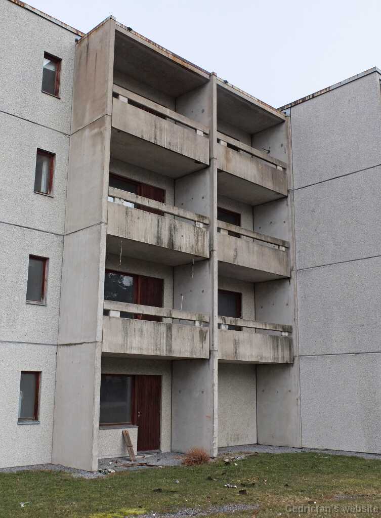 DSCF3407