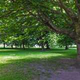 DSCF3882