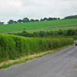 DSCF4224
