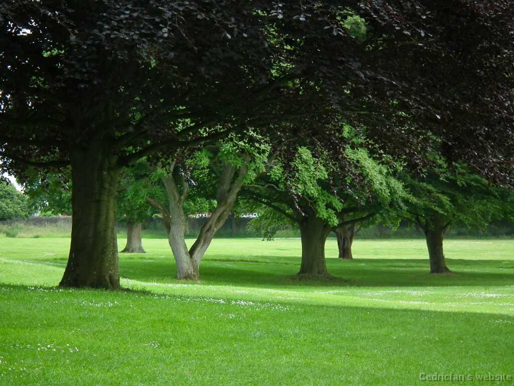 DSCF4331