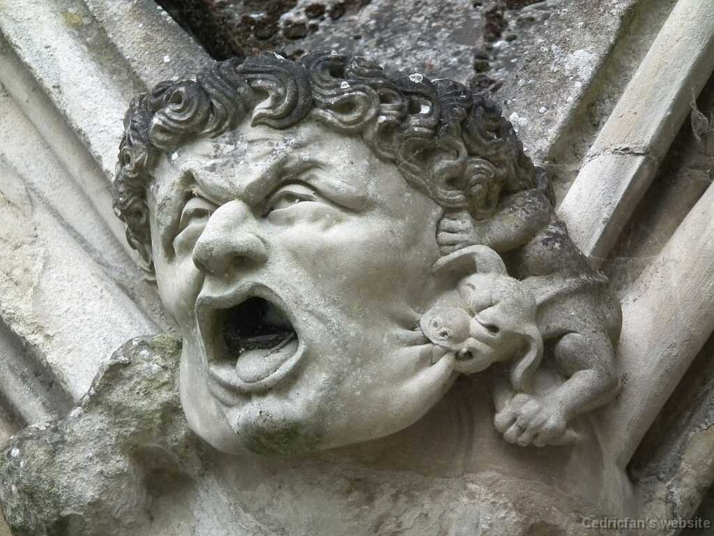 DSCF4276