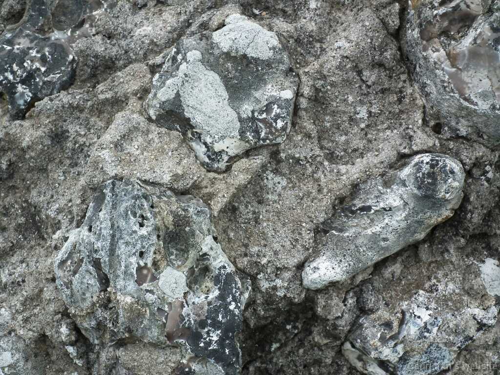 DSCF4235