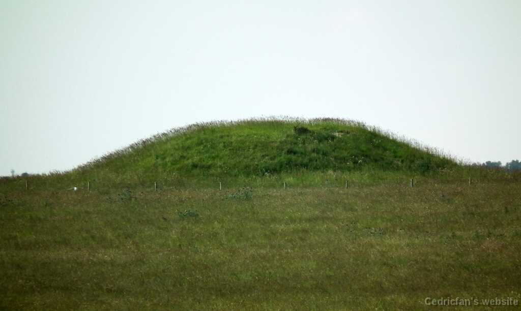 DSCF4162