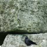 DSCF4151