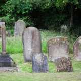 DSCF4173