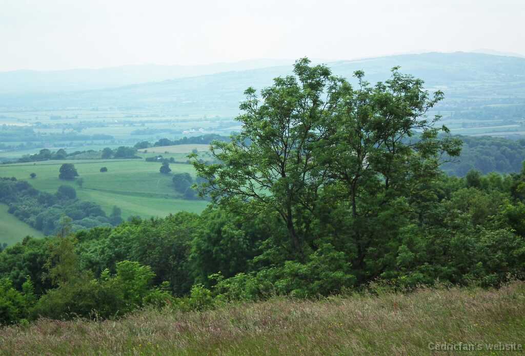 DSCF4456