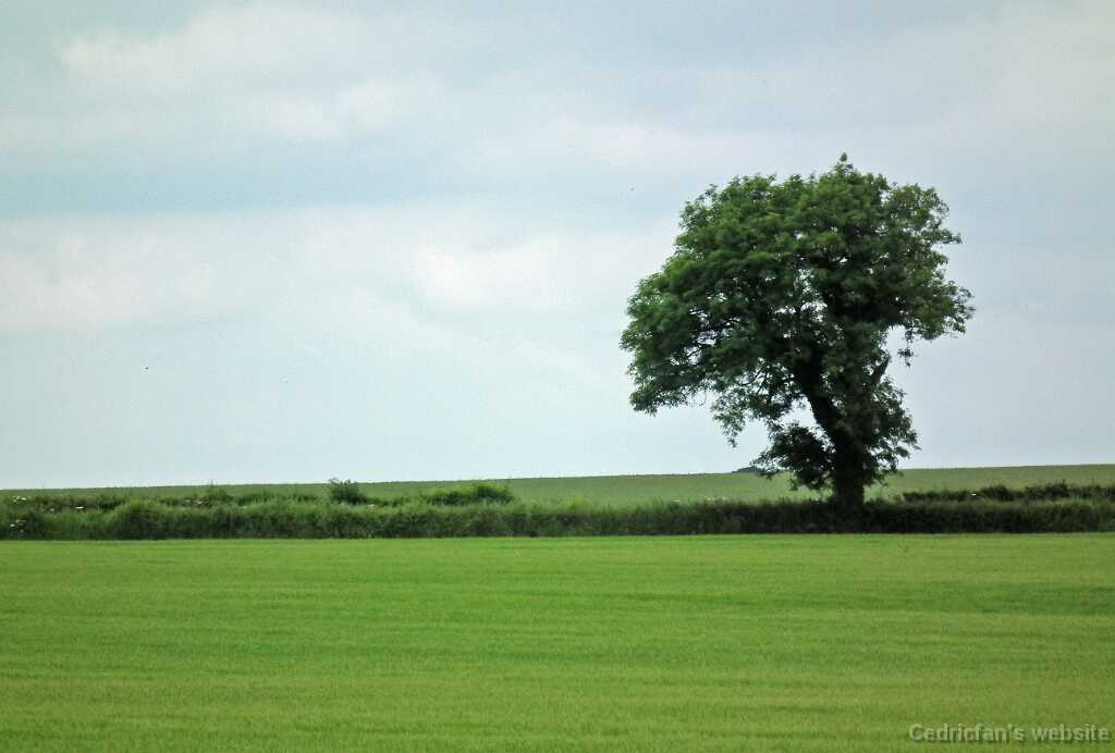 DSCF4407