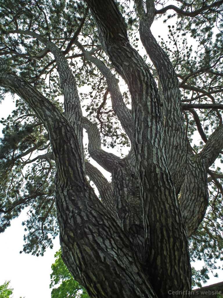 DSCF4478