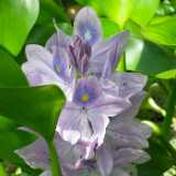 DSCF4473
