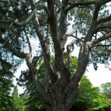 DSCF4479