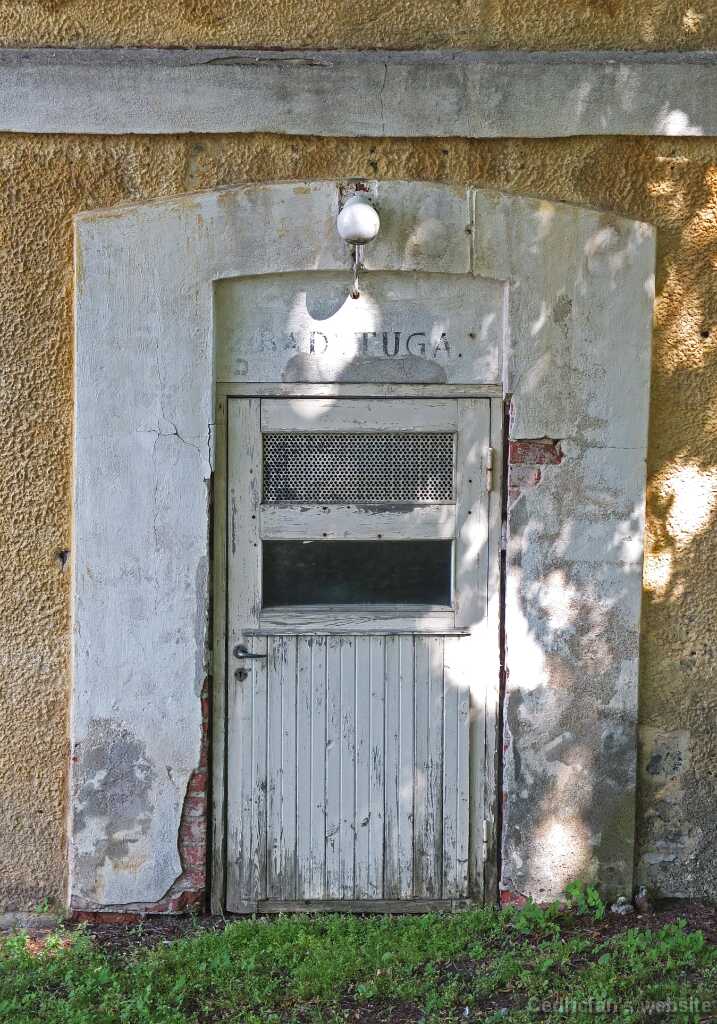 DSCF4130