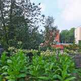 DSCF4396