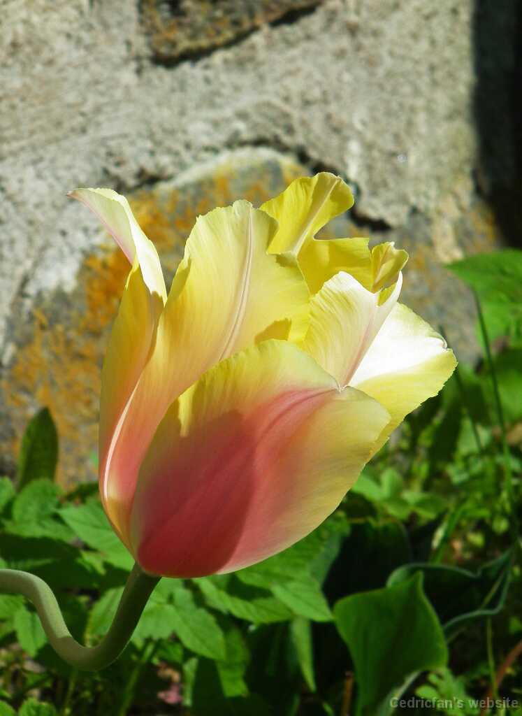 DSCF5077