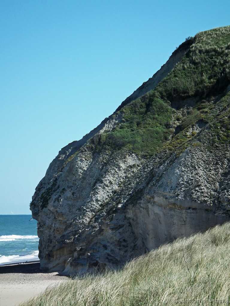 DSCF5637