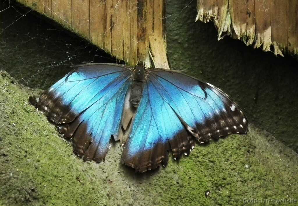 DSCF5676