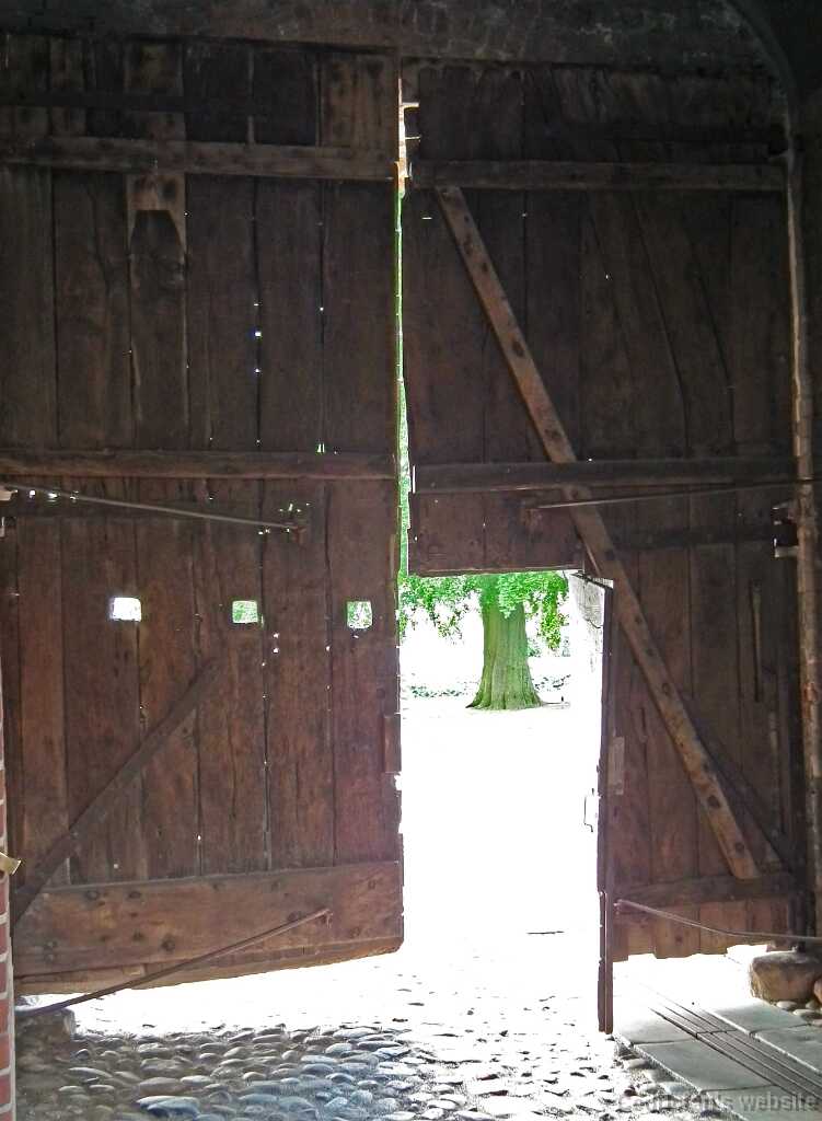 DSCF5440