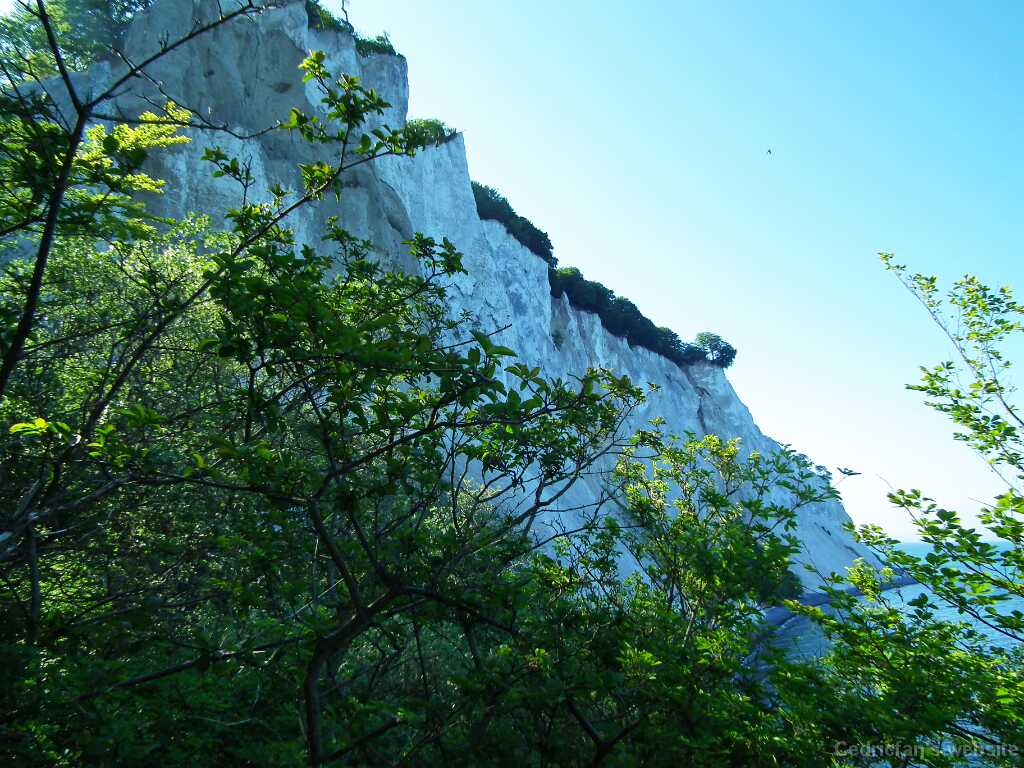 DSCF5186