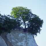 DSCF5190