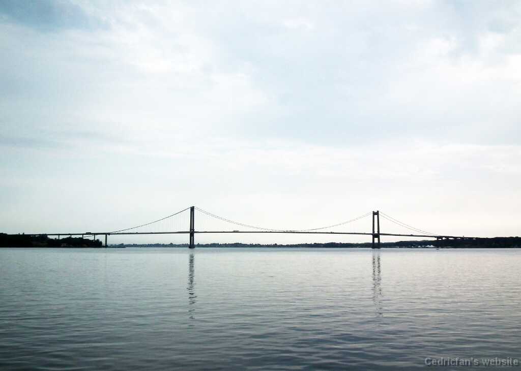 DSCF5202