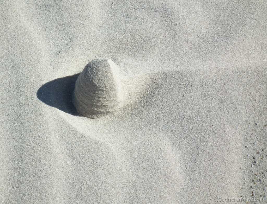 DSCF5548
