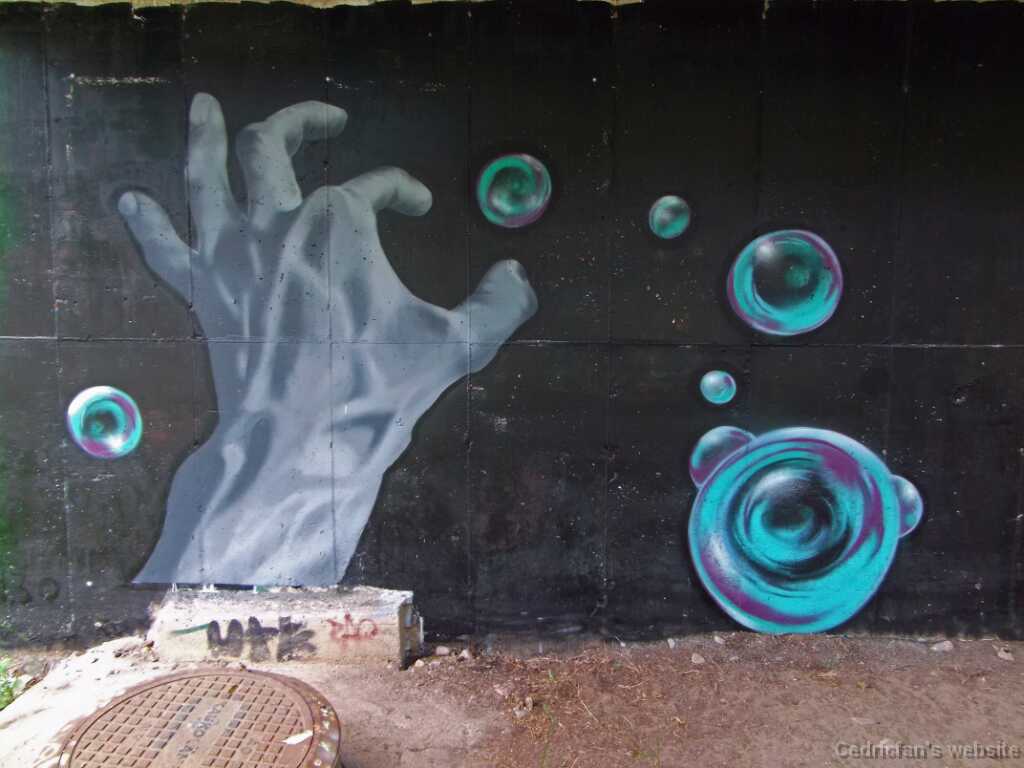 DSCF4617