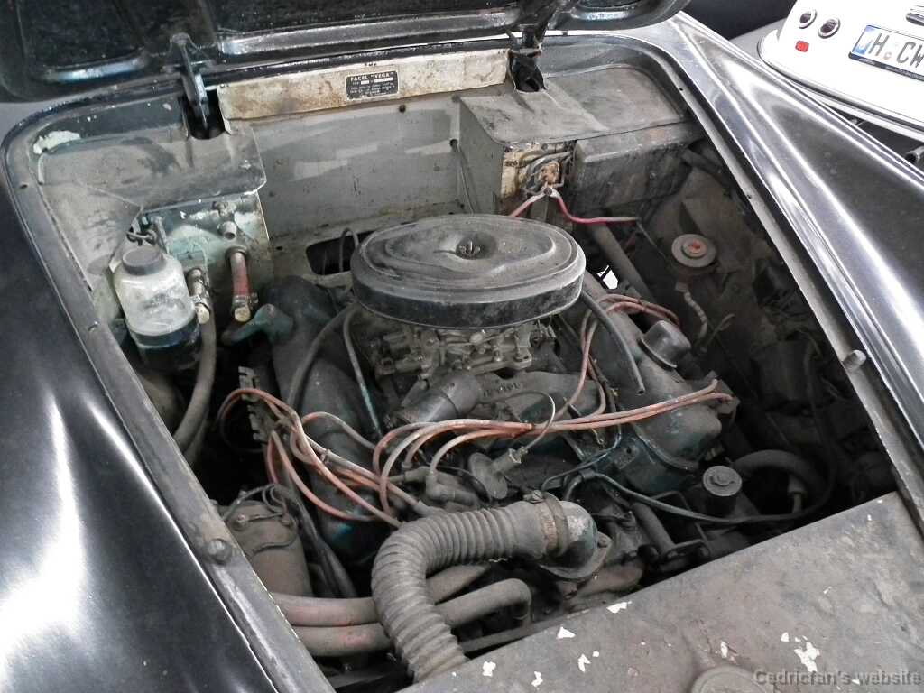 FacelVega2