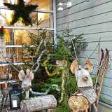 15_12_BotanicGarden