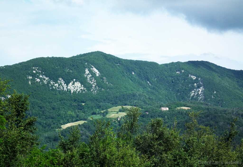 DSCF2356