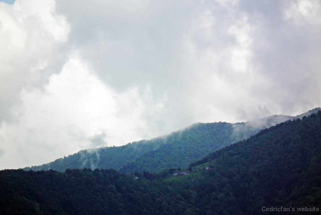 DSCF2411