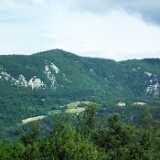 DSCF2356