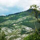 DSCF2358