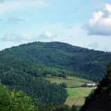 DSCF2361