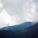 DSCF2411