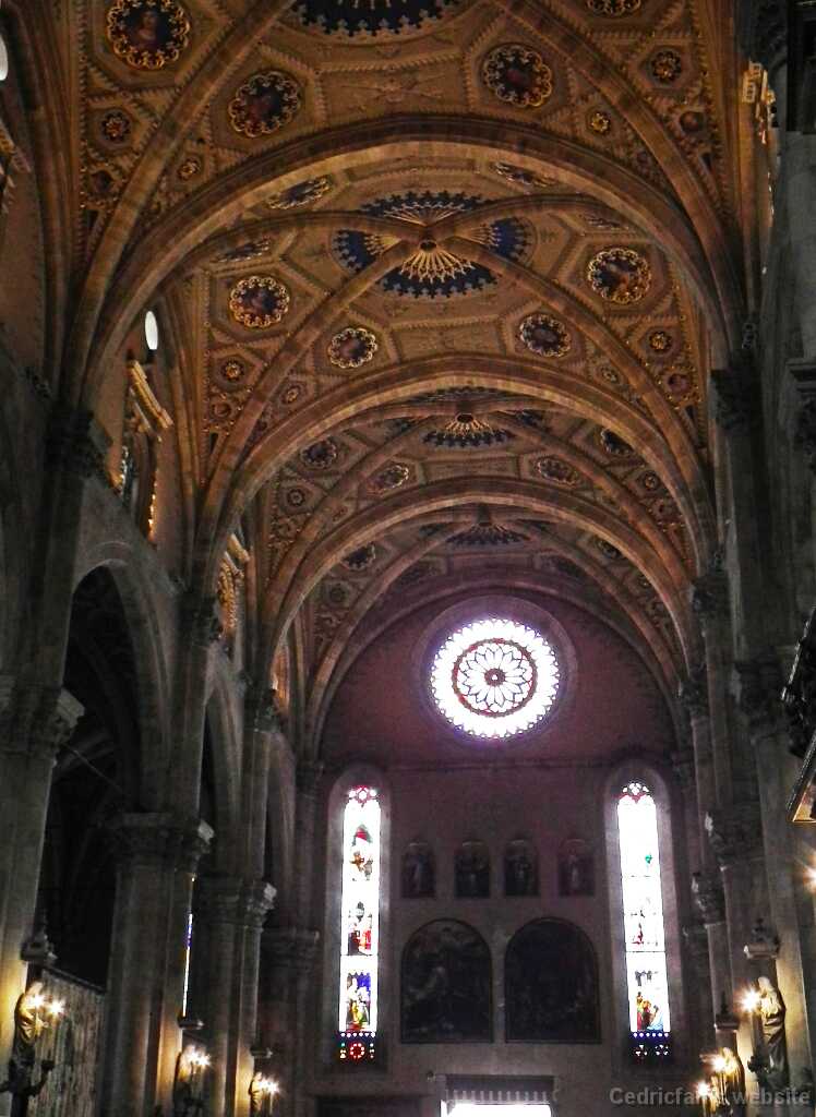 DSCF2378