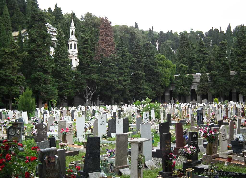 DSCF2141