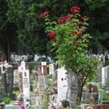 DSCF2140