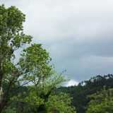 DSCF2102
