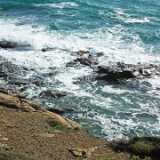 DSCF2204